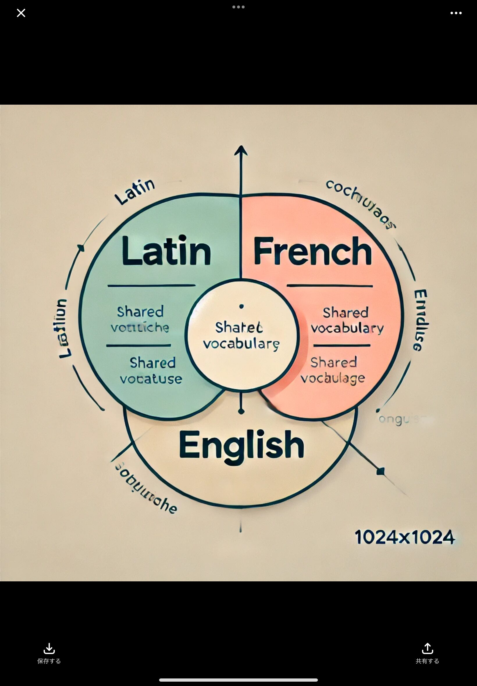 約80％の英単語はフランス語・ラテン語に由来